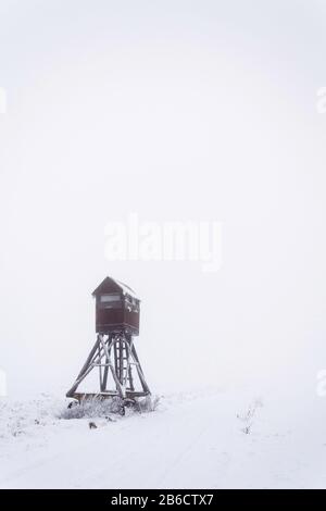 Hirschstand, Holzjäger hoher Sitz verstecken sich auf schneebedecktem Feld, Winterfoggy Day Stockfoto