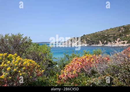 Seascape von Sardinien Stockfoto