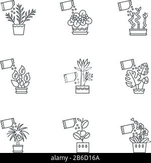 Houseplant befruchtet Pixel perfekte lineare Symbole gesetzt. Die Fütterung domestizierter Pflanzen. Wachstumszusätze. Anpassbare Kontursymbole mit dünnen Linien Stock Vektor