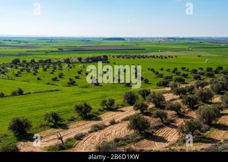 Februar 2020 - Belianes-Preixana, Spanien. Plantagen auf den Ebenen von Belianes-Preixana an einem sonnigen Wintertag. Das Dorf Preixana ist zu sehen Stockfoto