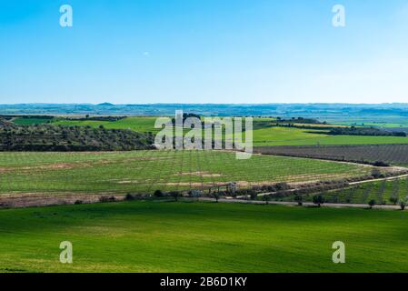 Februar 2020 - Belianes-Preixana, Spanien. Plantagen auf den Ebenen von Belianes-Preixana an einem sonnigen Wintertag. Stockfoto