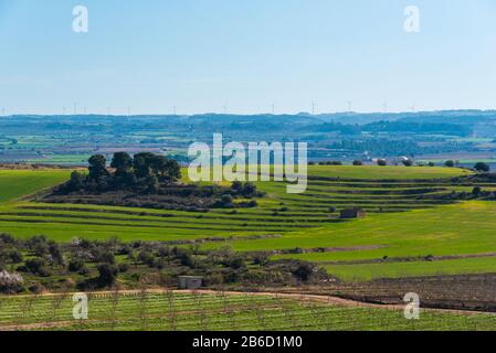 Februar 2020 - Belianes-Preixana, Spanien. Plantagen auf den Ebenen von Belianes-Preixana an einem sonnigen Wintertag. Stockfoto