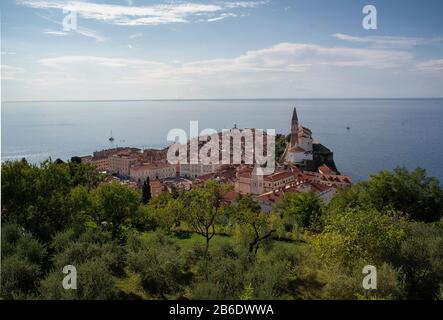 Panoramablick auf die Altstadt von Piran von mittelalterlichen Mauern an einem sonnigen und blauen Tag Stockfoto