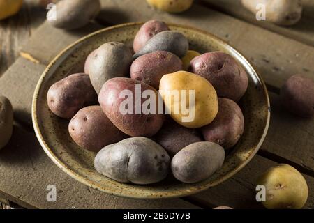 Rohe organische Regenbogenkartoffeln in einer Schüssel Stockfoto