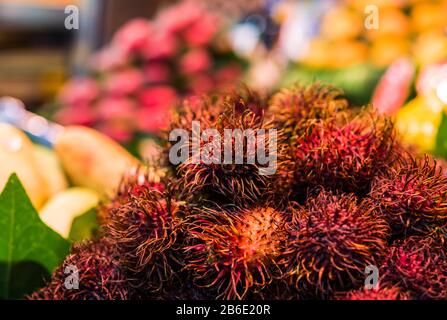 Nahaufnahme von Bio-Rambutan exotische Früchte am Bauernmarkt-Stall. Stockfoto