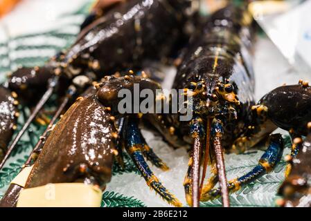 Nahaufnahme eines rohen Hummers mit Meeresfrüchten am Bauernmarkt-Stall. Stockfoto