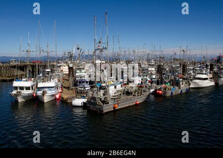 Kommerzielle Fischereifahrzeuge im French Creek Harbour, in der Nähe von Parksville, Vancouver Island, BC, Kanada Stockfoto