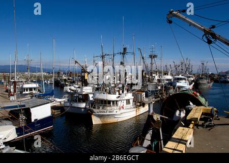 Kommerzielle Fischereifahrzeuge im French Creek Harbour, in der Nähe von Parksville, Vancouver Island, BC, Kanada Stockfoto