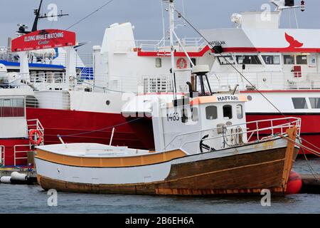Fischerboote, Reykjavik, Island, Europa Stockfoto