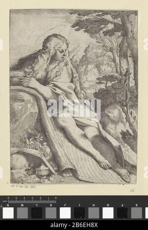 Die Buße Maria Magdalena Maria Magdalena zit biddend voor een Kruzifix in een landschap. Voor haar liggen een schedel en een boek en staat een zalfpot. Hersteller : Hersteller: Annibale Carracci (vermeld op object)Plaats Herstellung: Italië dating: 1591 Physische Kenmerken: ETS en Gravure Material: Papier Techniek: Etsen / graveren (drukproceé) Abmessungen: Blad: H 218 mm (binnen plaatrand afgesneden.) × b 157 mm (binnen) plaingend und wortzieren Stockfoto