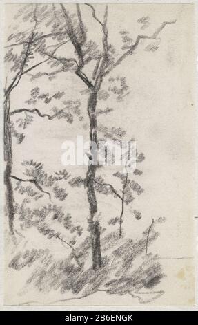 Objektart der Baum-Studie Boomstudie: Zeichnung Objektnummer: RP-T-1918-512 (V) Herstellung Vervaardiger: Zeichner: Anton Mauve Datum: 1848 - 1888 Physische Merkmale: Schwarzes Kreidematerial: Kreidemaße: H 92 mm × W 143 mm Betreff: Baum Stockfoto