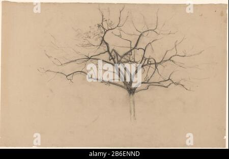 Objektart der Baum-Studie von Boomstudie: Objektnummer der Zeichnung: RP-T 1961-141 Hersteller: Künstler: Cornelis Gerardus' t Hooft (1791-1871) Datum: 1801 - 1871 Physische Merkmale: Schwarzes Kreidematerial: Kreidemaße von Papier: H 353 mm × b 555 mm Betreff: Baum Stockfoto