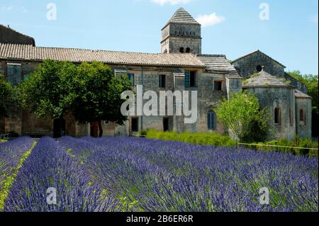 Garten und alte Monastere Saint-Paul-De-Mausole, St.-Remy-De-Provence, Bouches-Du-Rhone, Provence-Alpen-Cote d'Azur, Frankreich Stockfoto