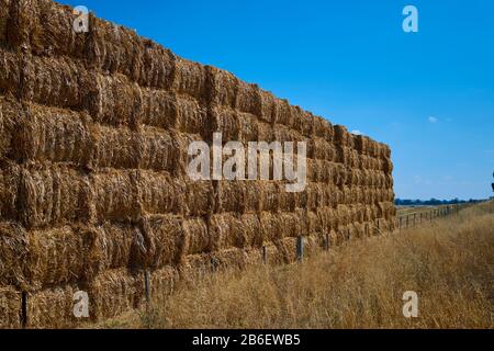 Ein dramatischer Blick auf einen Heuballen auf einem Feld mit einem schönen, blauen Himmel. In Victoria, Australien. Stockfoto