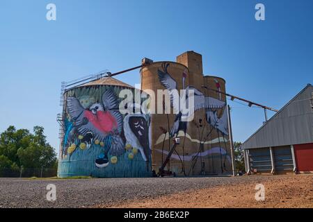 Ein Werk des Künstlers Sobrane Simcock, Teil des öffentlichen Kunstprojekts für den Silo Art Trail. In Tungamah, Victoria, Australien. Stockfoto