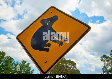 Ein gelbes Warnschild am Straßenrand über einen Koala-Bärenbereich. In Victoria, Australien. Stockfoto