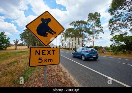 Ein gelbes Warnschild am Straßenrand über einen Koala-Bärenbereich. In Victoria, Australien. Stockfoto