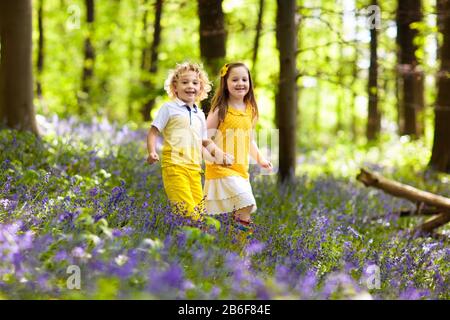 Kinder laufen in Bluebell Woods. Kinder spielen im Frühjahr park mit Wild Bluebell Blumen. Jungen und Mädchen im Garten arbeiten. Garten Pflanzen an einem sonnigen Tag. Freunde f Stockfoto