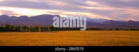 Bosque Del Apache National Wildlife Refuge, New Mexico, USA Stockfoto