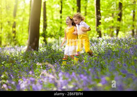 Kinder laufen in Bluebell Woods. Kinder spielen im Frühjahr park mit Wild Bluebell Blumen. Jungen und Mädchen im Garten arbeiten. Garten Pflanzen an einem sonnigen Tag. Freunde f Stockfoto