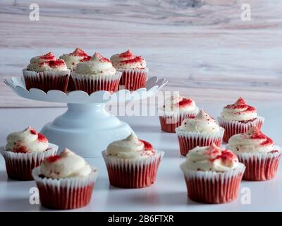 Ein Dutzend kleiner roter Samtkuchen auf einer weißen Platte und umgeben von mehr auf dem Tisch davor. Köstliches Dessert! Stockfoto