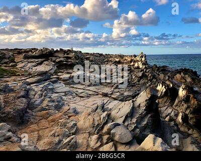 Dragon's Teeth - erodiertes vulkanisches Gestein, Makaluapuna Point, Kapalua, Maui, Hawaii, Pazifischer Ozean Stockfoto