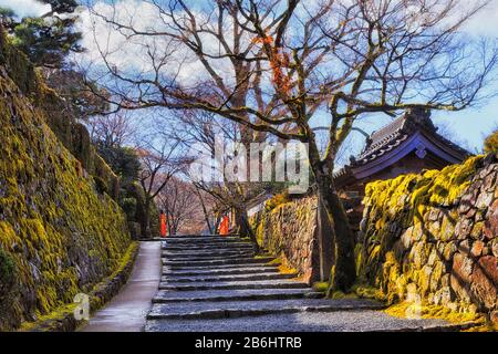 Steg zwischen alten Steinmauern, die von grünem Moos und Pilz bedeckt sind, in dem historischen ländlichen japanischen Dorf Ohara in der Nähe von Kyoto. Stockfoto