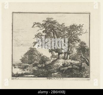 Die drei Eichen Drei Eichen auf einem kleinen Hügel bei Vijver. Hersteller : Druckerhersteller Jacob Isacksz van Ruisdael (denkmalgeschütztes Gebäude) in seinem Entwurf: Jacob Isacksz van Ruisdael Verlag: Frans van den Wijngaerde (denkmalgeschütztes Eigentum) Ort Herstellung: Niederlande Datum: 1649 Physikalische Merkmale: Ätzmaterial: Papiertechnik: Ätzmaße: Plattenkante: H 129 mm × W 150 mm Betreff: Bäume: Oakteich-Pool-Beschaffung und Stockfoto