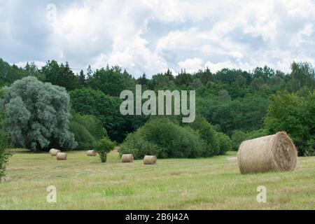Heu rollt auf einer eigenen Wiese auf Hügel Stockfoto