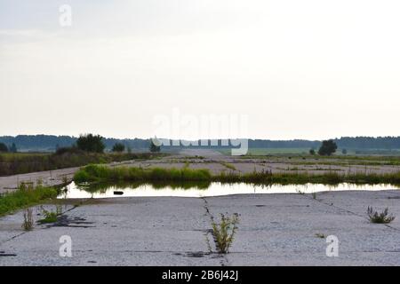 Alt, aufgegeben, überwachsen mit Rasenplatz. Landschaft mit Wasserpudel Stockfoto