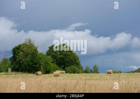 Heu rollt auf einer eigenen Wiese auf Hügel Stockfoto