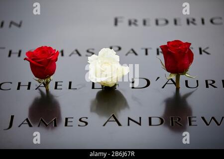 New York City Manhattan White Rose Steht Für die Erinnerung an die Geburtstage von 911 Opfern auf ihrem Namen im 9/11 Memorial Stockfoto