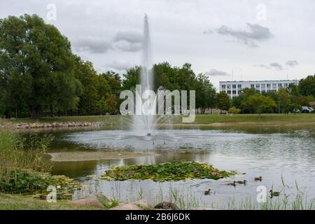 Springbrunnen mit Spritzwasser in einem Teich mit Grünbäumen und Gras Stockfoto