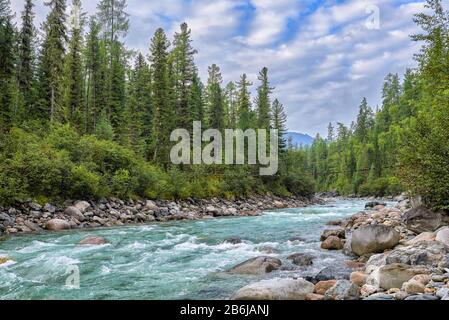 Sibirisches Rivulet in der Taiga am Fuße des Hügels. Hundertjährige Zedern und Lärchenbäume am Waldrand. East Sayan. Burjatia. Russland Stockfoto