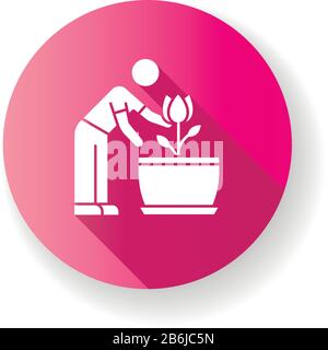 Blühende Zimmerpflanze Rosa flaches Design lange Schatten-Glyphe Symbol. Wachsende blühende Pflanze. Gartenarbeit im Innenbereich. Pflege der Blume. Pflanzprozess Stock Vektor