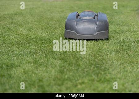 Rasenmäher schneidet grünes Gras. Arbeiten Sie allein im Garten - Roboter Stockfoto