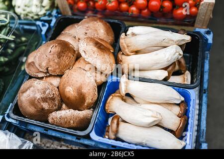 Gruppe verschiedener Pilze, auf dem Ladentisch auf dem Markt Stockfoto