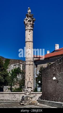 Zadar, Provinz Dalmatien, Kroatien, Zadar ist eine entzückende befestigte Stadt, im Forum Romanum die "Säule der Schande", eine römische Säule aus dem 2. Jahrhundert, die zur Verkettung von Menschen diente, die Verfehlungen begangen hatten Stockfoto