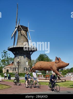 Die Stadt Leiden, Provinzland Südholland, Niederlande, Europa - , das de Valk Mill Museum auf dem Plattegrond mit seinen Radfahrern Ode to the Pig von Jantien Mook (www.odetothewilderness.com), der Ort Leiden ist bekannt für seine säkulare Architektur, seine Kanäle, seine Universitof 1590, die nativitof Rembrand, Die Stadt, in der die erste Tulpe Europas im 16. Jahrhundert geblüht wurde Stockfoto