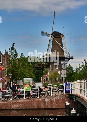 Die Stadt Leiden, Provinzland Südholland, Niederlande, Europa, von der Altstadt von Valk Windmill am Plattegrond, die Stadt Leiden ist bekannt für ihre säkulare Architektur, seine Kanäle, seine Universitof 1590, die nativitof Rembrand, Die Stadt oder fleury der erste Bulof Tulip in Europa im 16. Jahrhundert Stockfoto