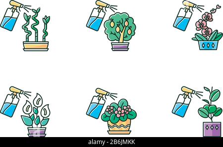 Spritzen domestizierter Pflanzen RGB-Farbsymbole festgelegt. Pflege der Hausanlagen. Gartenarbeit im Innenbereich. Bewässerung von Miniaturbäumen und blühenden Pflanzen. Isolierter Vektor Stock Vektor