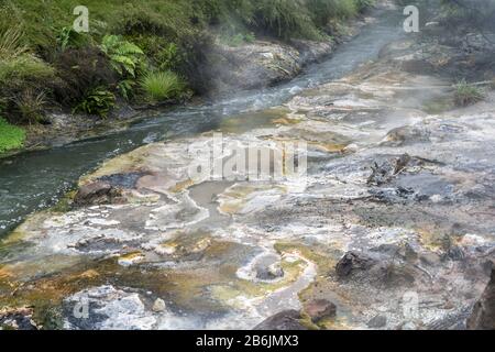 Nebel- und Mineralsedimente aus heißen Quellen am Bach im Waimangu-Talpark, in trübem Spätfrühling Licht auf Rotorua, Nordinsel, Neuseeland geschossen Stockfoto