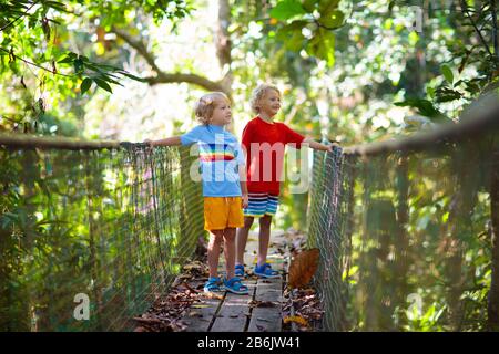 Kinder wandern in den Bergen. Junge, der auf einer Hängebrücke über den Fluss im Dschungel spazieren geht. Reisen und Trekking mit kleinen Kindern. Aktive Kinder erkunden Stockfoto