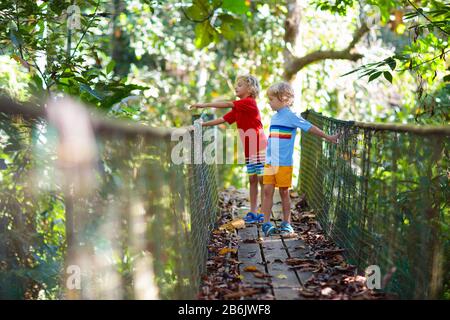 Kinder wandern in den Bergen. Junge, der auf einer Hängebrücke über den Fluss im Dschungel spazieren geht. Reisen und Trekking mit kleinen Kindern. Aktive Kinder erkunden Stockfoto