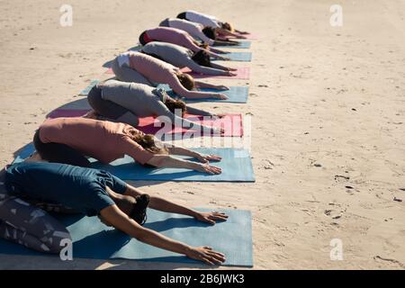 Seitenansicht der Frauen, die aufeinander abgestimmt sind, um Yoga gemeinsam zu machen Stockfoto