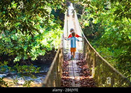 Kinder wandern in den Bergen. Junge, der auf einer Hängebrücke über den Fluss im Dschungel spazieren geht. Reisen und Trekking mit kleinen Kindern. Aktive Kinder erkunden Stockfoto