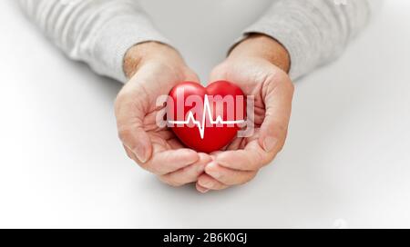 Konzept für Gesundheit, Nächstenliebe und Menschen - Nahaufnahme des älteren Mannes, der rotes Herz mit ekg-Linie in den Händen hält Stockfoto