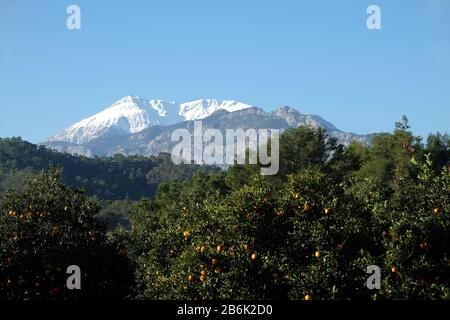 Schöne Landschaft mit türkischen Bergen unterschiedlicher Höhe mit hohen Schneehöhen bei weitem, Bergvegetation und Obstgärten auf dem Vorberg auf der Brig Stockfoto