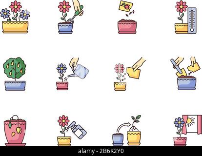 RGB-Farbsymbole für die Hausanlagenpflege festgelegt. Gartenschritte im Innenbereich. Häuslicher Pflanzenanbau. Repotting, Sprühen von Pflanzen. Pflanzen von Blumensamen. Bewässerung Stock Vektor