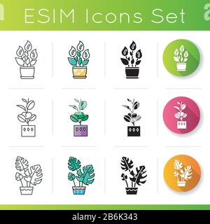 Die Symbole der Hausanlagen sind festgelegt. Dekorative Zimmerpflanzen. Heimdekor. Ficus, Monstera, Friedenslilie. Lineare, schwarze und RGB-Farbstile. Lineares Schwarz und RGB Stock Vektor